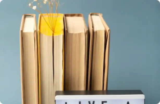 Video Marketing Strategies for Online Stores